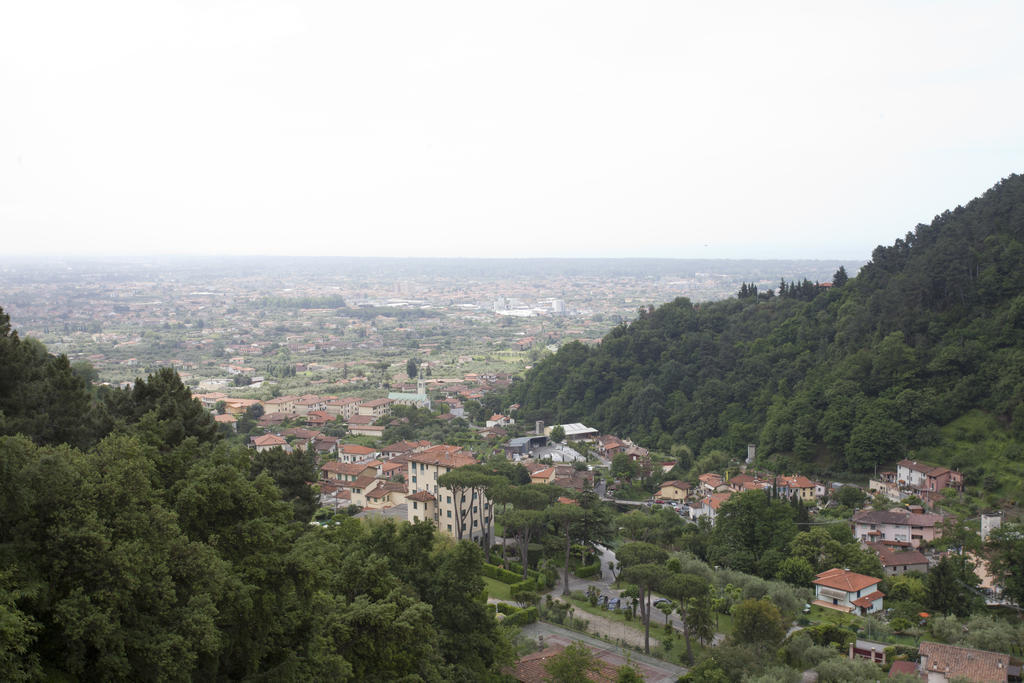 Grappolo D'Oro Otel Pietrasanta Dış mekan fotoğraf
