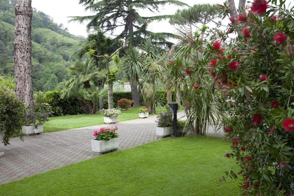 Grappolo D'Oro Otel Pietrasanta Dış mekan fotoğraf